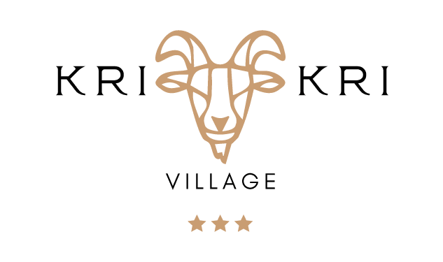 website logo